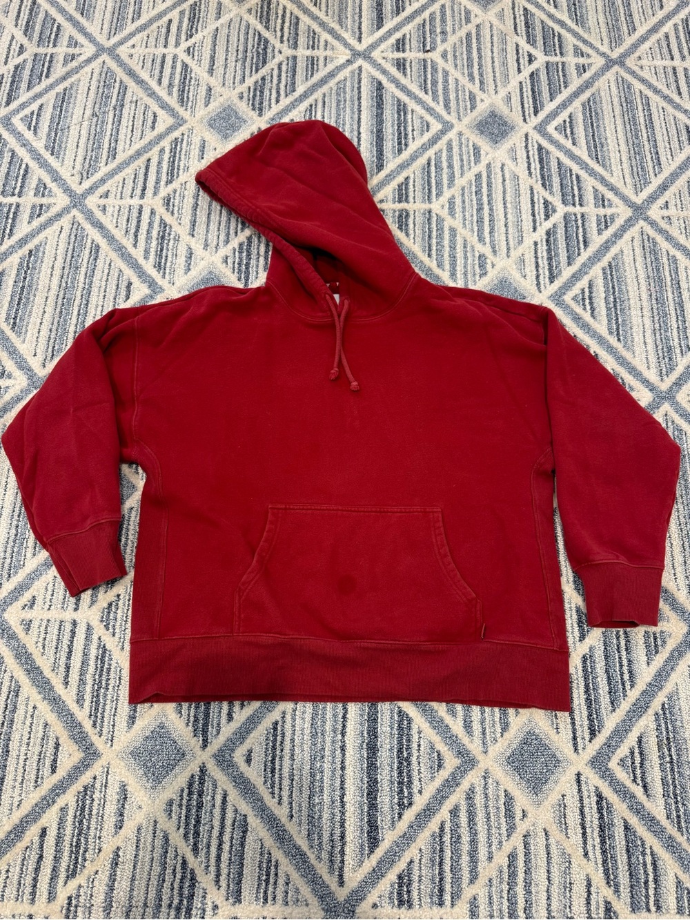 Aritzia (TNA) Oversized Hoodie